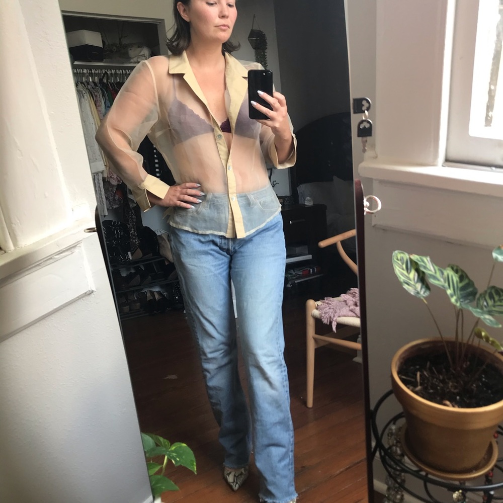 Vintage organza top
